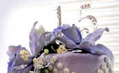 quinceanera-short-03